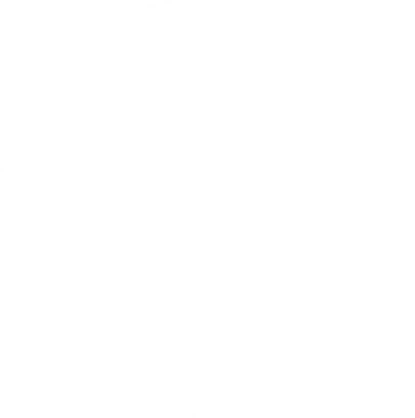 Das Logo White