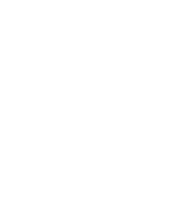 Swansea City Council White